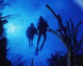 Corso Sub Open Water Diver